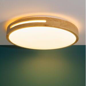 Brilliant - LED Stmívatelné stropní svítidlo WOODBURY LED/24W/230V pr. 39 cm