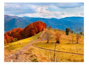 Fototapeta - Autumn landscape in the Carpathian mountains