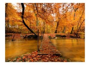 Fototapeta - Autumn bridge