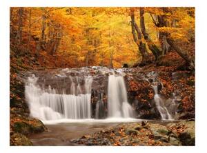 Fototapeta - Autumn landscape : waterfall in forest