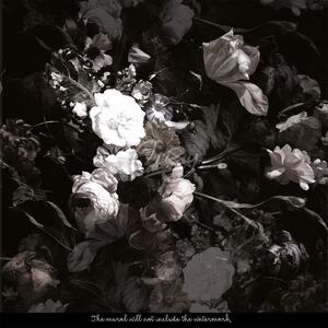 Fototapeta Temnější strána květového šilenství Samolepící 250x250cm