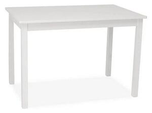 Jídelní stůl Fiord 80 x 60 cm, bílá