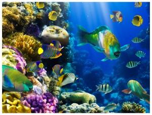 Fototapeta - Underwater paradise