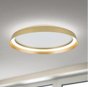 Orion DL 7-699/45-LED Stm. svítidlo MANTA LED/38W/230V 2700/3000/4000K pr. 45 cm