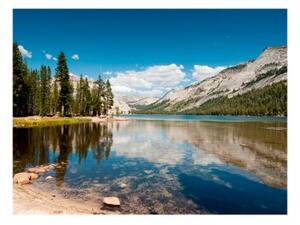 Fototapeta - Tenaya Lake - Yosemite National Park