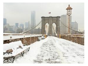Fototapeta - Snow-covered bridge in New York