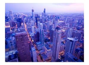 Fototapeta - Timid lights at dusk in Chicago