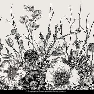 Fototapeta Minimalistické černé a bílé květy Samolepící 250x250cm