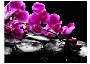 Fototapeta - Relaxing moment: orchid flower and stones