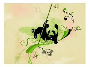 Fototapeta - Giant panda in bamboo forest