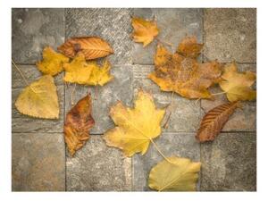 Fototapeta - Harbinger of autumn