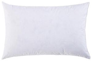 VÝPLŇ POLŠTÁŘE 40/60 cm Sleeptex - Dekorační polštáře
