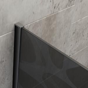 Sprchový kout Walk-In Nano 10mm pravé sklo EX101 Černá - šedé sklo s matným vzorem Wave - možnost volby šířky