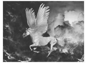 Fototapeta - Pegasus on the way to Mount Olympus