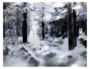 Fototapeta - Winter forest