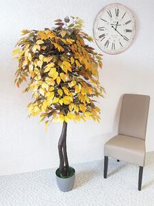 ArtTree s.r.o. Fíkus podzimní - 180cm