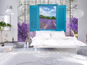 3D tapeta ráno v Provence Velikost (šířka x výška): 350x245 cm