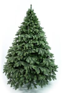 Borovice Aurora široká 3D- 170cm