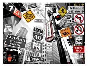 Fototapeta - NYC signs on a monochrome background