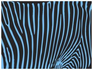 Fototapeta - Zebra pattern (tyrkys)