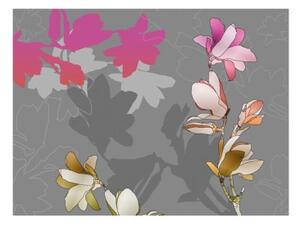 Fototapeta - Pastel magnolias