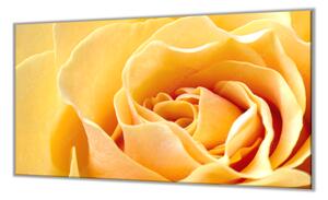 Ochranná deska květ žluté růže - 52x60cm / S lepením na zeď