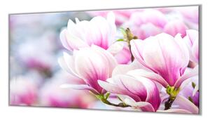 Ochranné sklo květy magnolie růžové - 40x40cm / S lepením na zeď