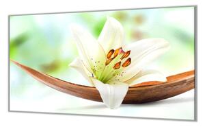 Ochranná deska bílý květ lilie - 40x40cm / Bez lepení na zeď