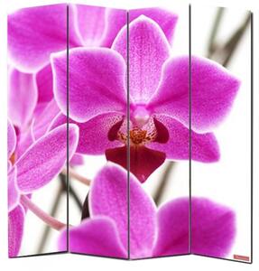 Designový paravan WH orchidej 240x180 cm (6-dílný)