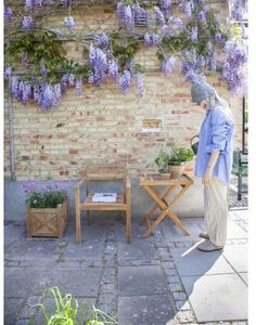 Zahradní židle z teakového dřeva Oxford