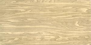 Polystyrénový obklad dřevo 104 XL 100x50cm šedo hnědé