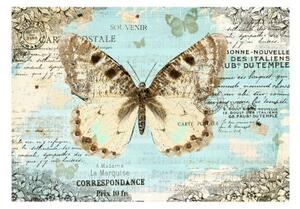 Fototapeta - Postcard with butterfly