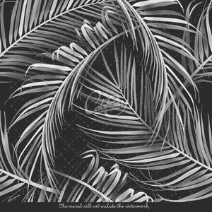 Fototapeta Palmové listy negativně Samolepící 250x250cm