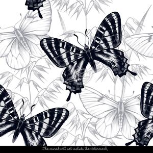 Fototapeta Elegantní černí motýli Samolepící 250x250cm