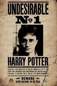 Umělecký tisk Harry Potter - Undesirable No 1, (26.7 x 40 cm)