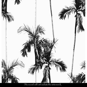 Fototapeta Stylové palmy Samolepící 250x250cm