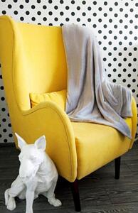 Hřejivá jemná deka světle šedé barvy Šířka: 150 cm | Délka: 200 cm