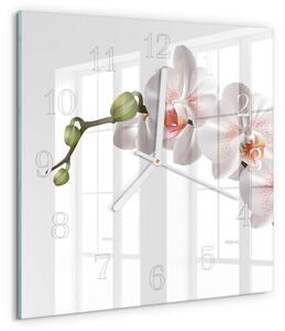 Skleněné hodiny Orchidej zskb-30x30-00083950