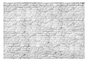 Fototapeta - White brick