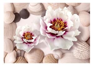 Fototapeta - Flowers and Shells
