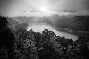 Fototapeta řeka uprostřed lesa v černobílém provedení