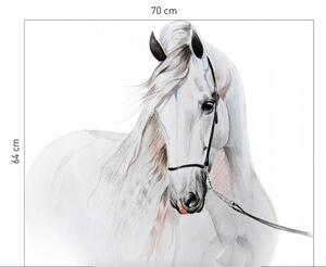 Úžasná nálepka na zeď sněhovo bílý kůň 115 x 127 cm