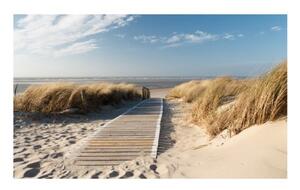 Fototapeta - Severní moře pláž, Langeoog