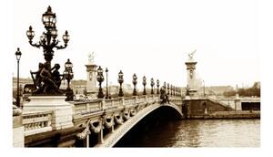 Fototapeta - Alexander III most, Pařížská