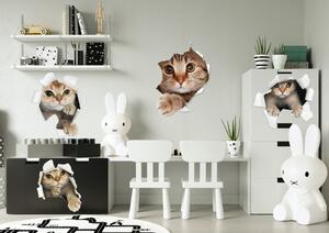 Dekorační nálepka na zeď zvědavé kočky 80 x 160 cm