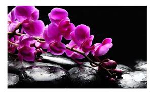 Fototapeta - Relaxační moment: orchidej květ a kameny