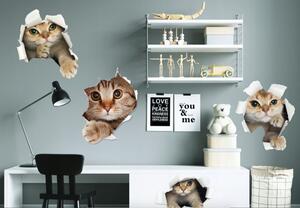 Dekorační nálepka na zeď zvědavé kočky 60 x 120 cm