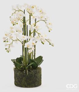 Bílá umělá orchidej Phalaenopsis s mechem 90cm