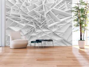 3D tapeta bílý labyrint + lepidlo ZDARMA Velikost (šířka x výška): 150x105 cm