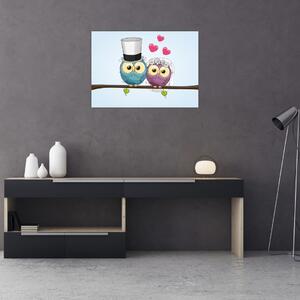 Obraz - Zamilované sovičky (70x50 cm)